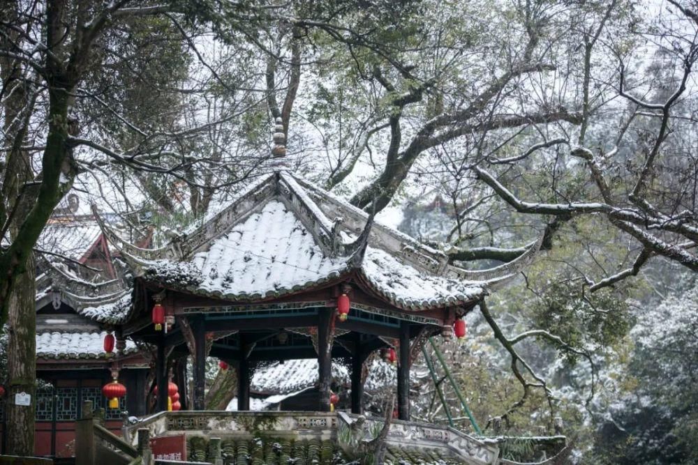 绝不能辜负的冬日限定美景！