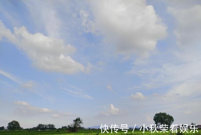 成王|穿越时空，考古研究终于发现商王朝中期国都与末期大邑商