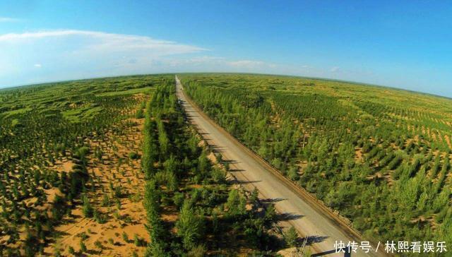 我国更绿了!三北工程造林超4.5亿亩,一个