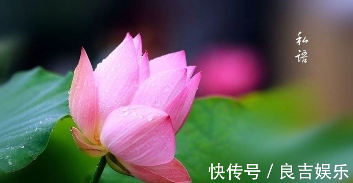 嫣然!竹影婆娑天向晚,月上西窗黛眉展,清风拂瑶管,不知我、秀雅温婉