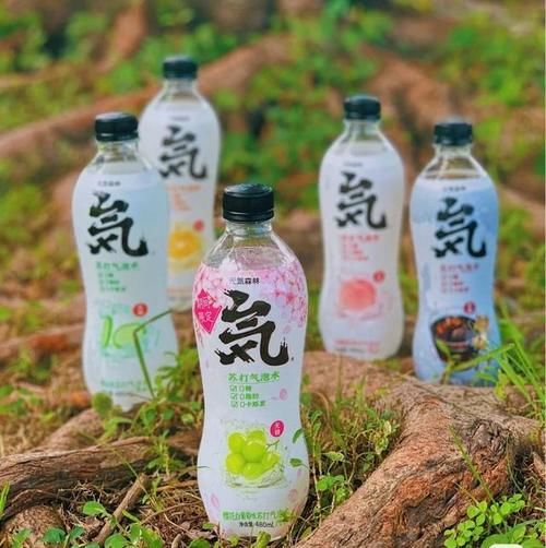 9款高颜值气泡水,喝过6种是真肥宅!