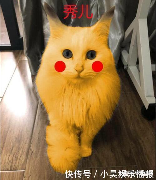 秀儿!同样是“画比卡丘”,普通人VS美术生,看到秀儿,没忍住笑