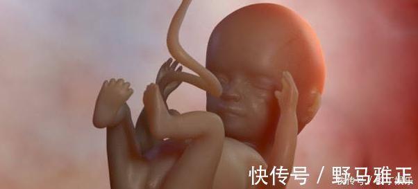 生物钟|胎儿每月都有在发育,这5个成长“关键期”,错过就补不回来了