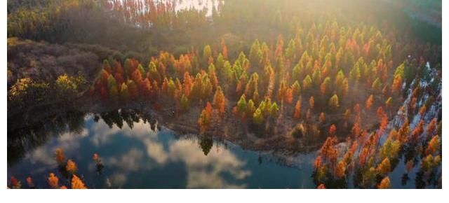 节目|“全程都是睡点”,治愈系“宝藏节目”《风度中国》来了