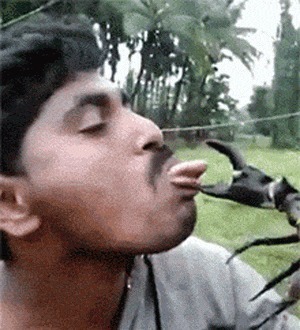 |搞笑GIF:走路玩手机后果很严重 原谅我不厚道的笑了