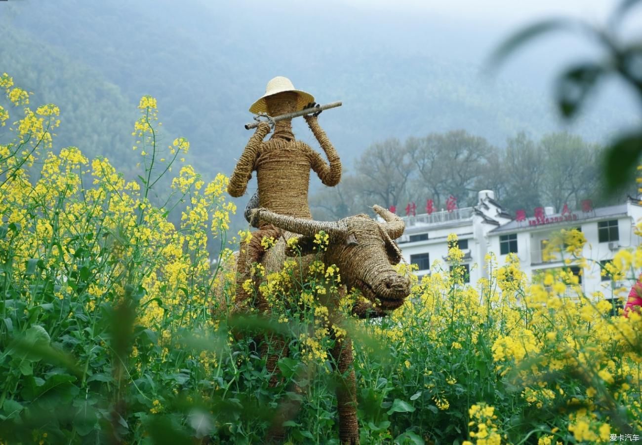 婺源|【春到婺源】记得住乡愁，江岭上开遍油菜花。