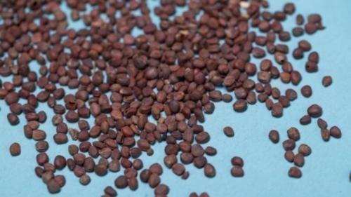 排便|长期便秘拉不出来?医生:1物每天吃一点,或能帮你改善便秘