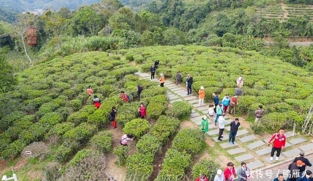 一起走进世外桃源－－－茶溪谷