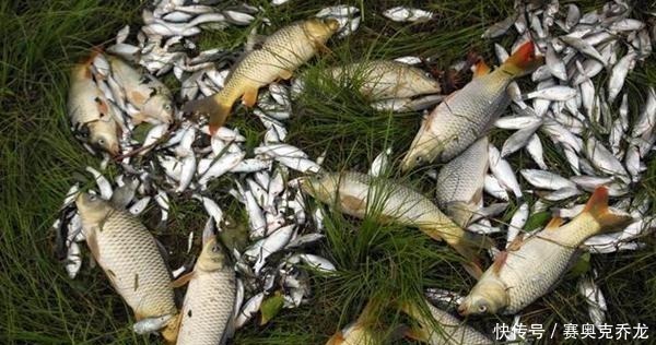 钓鱼技巧：鲜为人知的钓鱼冷知识，看似没用，其实影响了渔获量