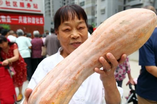 妙招|买南瓜，就得买老的，记住3个挑选妙招，南瓜又甜又面，真好吃