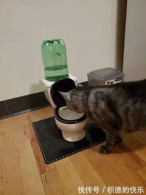 |男朋友敷衍起来是什么样 冷段子1464 & 去年今日1155