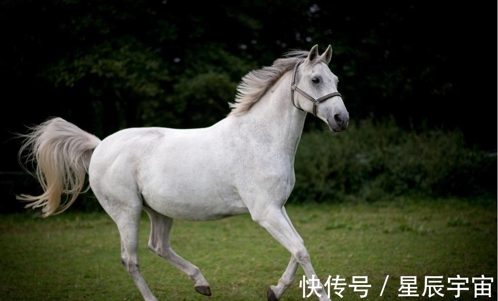 桃花朵朵开|步入六月中上旬，桃花朵朵开，五个生肖爱情甜蜜一顺百顺福气满满