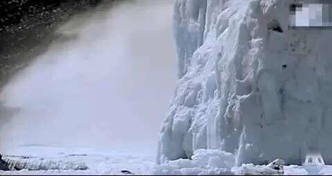 科考团|1988年，张国立在南极点燃炸药包，救南极科考团，荣获二等功