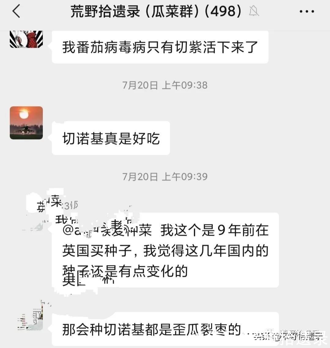 番茄的历史和有趣的事实