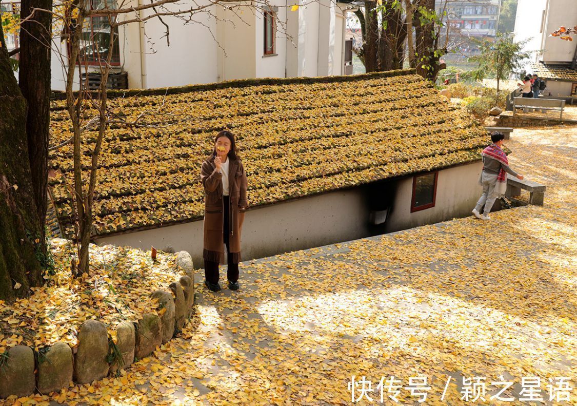 秋色|古村秋色美,堵车绵延十里不绝,还没到村,天黑了