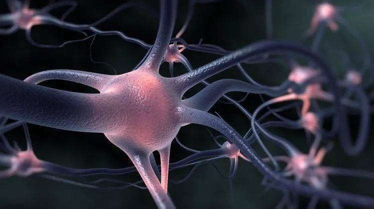 颈部|指尖麻木非小事，谨防患上颈椎病