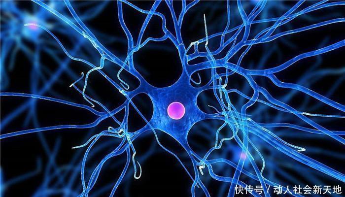 延缓衰老|什么样的体质更长寿?研究发现:有这几个特征,寿命可能更长久