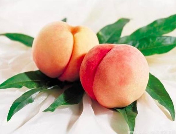 盆景不用买,“2种”水果吃完别扔果核,丢盆里1个月后成美景