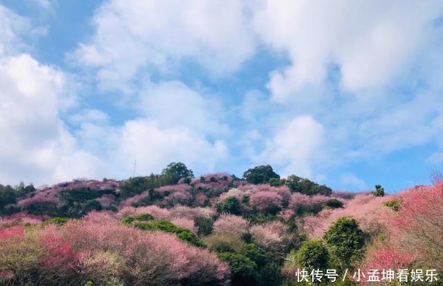 老年|春天的气息，藏在安徽的小乡村，名气不大，却美成了一幅“画”