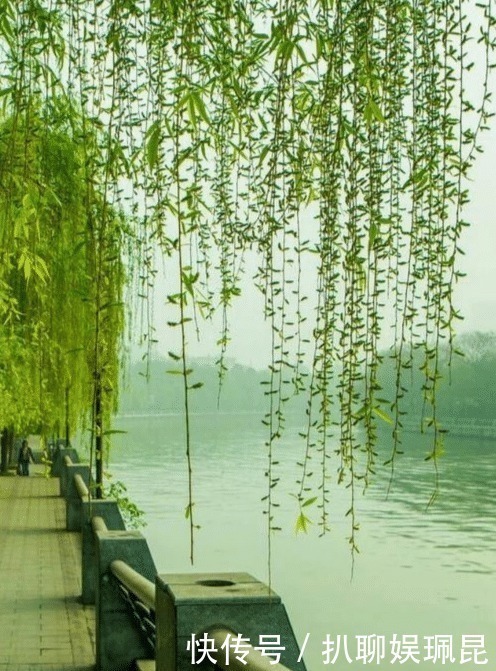 乐事$朱服一生仅有一首词流传下来,末尾一句惊艳诗坛,他得意了半辈子