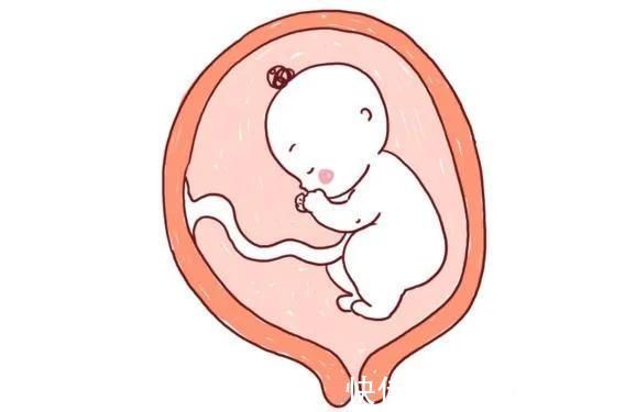 宝妈|妈妈是这种血型,宝宝一出生就“赢了”,比其他血型更有先天优势