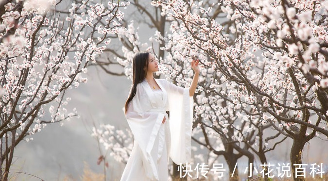 神仙|上古神话中的7位神仙娘娘,第5位是战争女神,女娲只能排第2!