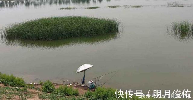 钓鱼时，肉眼能看到鱼群，但它们为什么就不上钩？真正原因竟是它