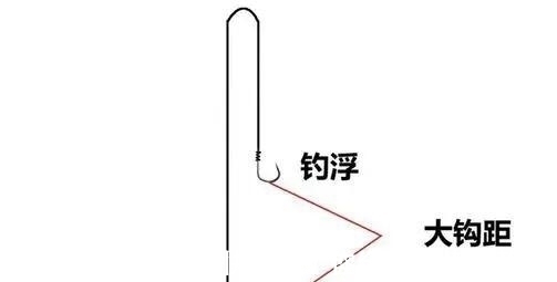 鲢鳙怎么钓?很多人第一步就错了。注意到这3点就怕鱼护装不下