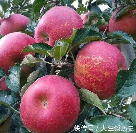 女人|早上空腹吃“苹果”,身体会收获“3个好处”,第2个女人更喜欢!