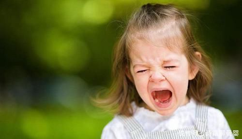 情商|情商低的孩子大多会有这5个表现，父母别疏忽大意，会害了孩子