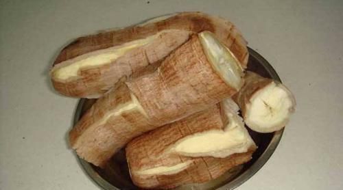 它是巴西剧毒植物,引入中国90余年,如今却成家家常吃的美食!