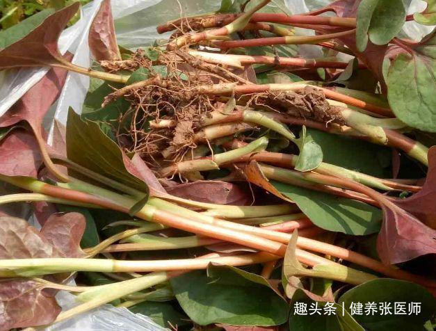 子宫|对身体最好的3种食物,排毒养颜、延缓衰老,好处多多!