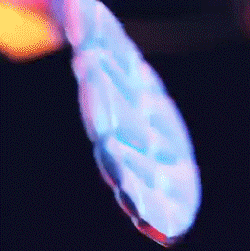 希望某天，我不再是极端的球鞋配置党