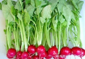 皮肤|女性不想肚子鼓鼓，常吃此菜，清肠油，赶走大肚子，皮肤更细腻