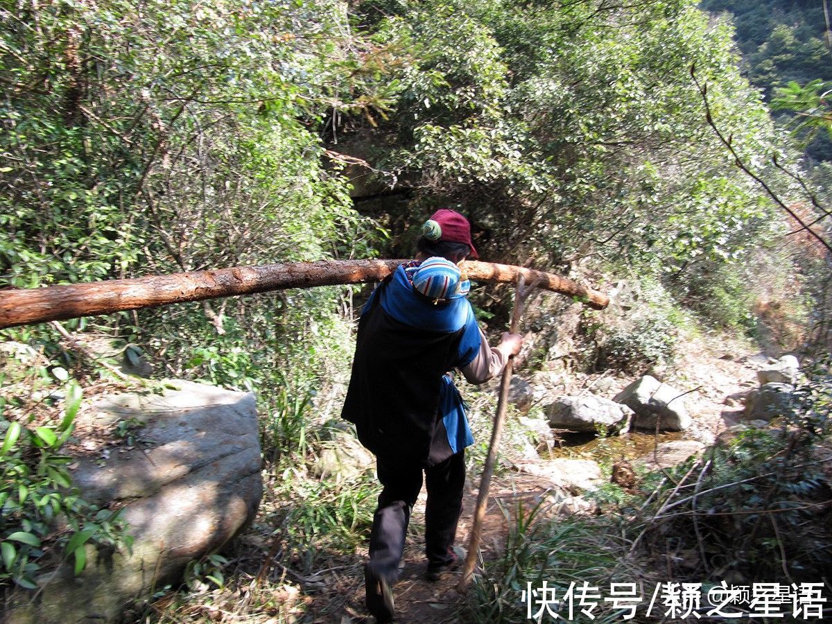 森林长城|浙江也有一座香山，山上有驴友驿站，还有森林长城