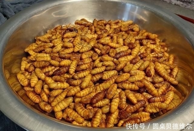 蚕蛹|大爷早市卖它，没人识货，10元一斤我直接包圆，吃后才知道赚大了
