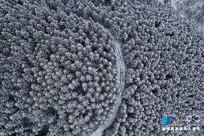 赏雪啦！这儿的山山岭岭银装素裹