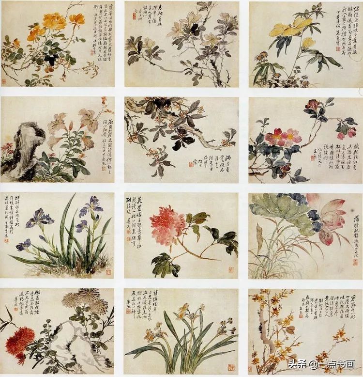 嘉树堂！清代海派 朱熊 花鸟作品欣赏