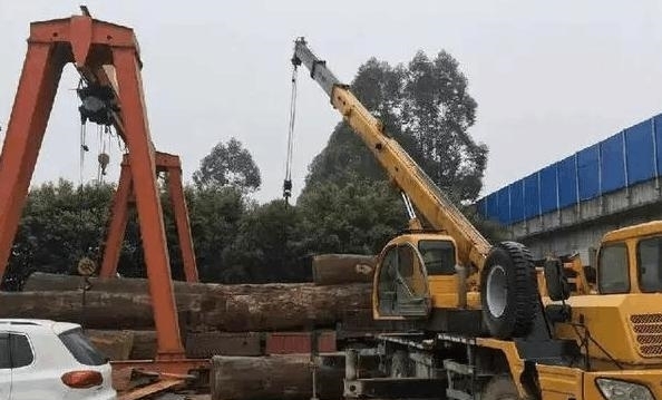 板料|成批卡车成批运回非洲原木, 全切实木大板却引广泛质疑?