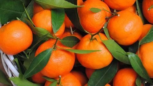 花青素|想长寿要会“吃”,常吃三种食物,清热降火、养血养肌、润肺化痰