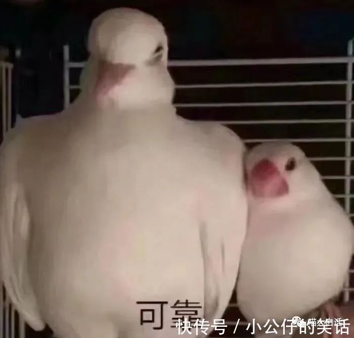 阴间|“千万!不要!随便在淘宝乱搜索啊!”哈哈哈沙雕卖家想笑死我……