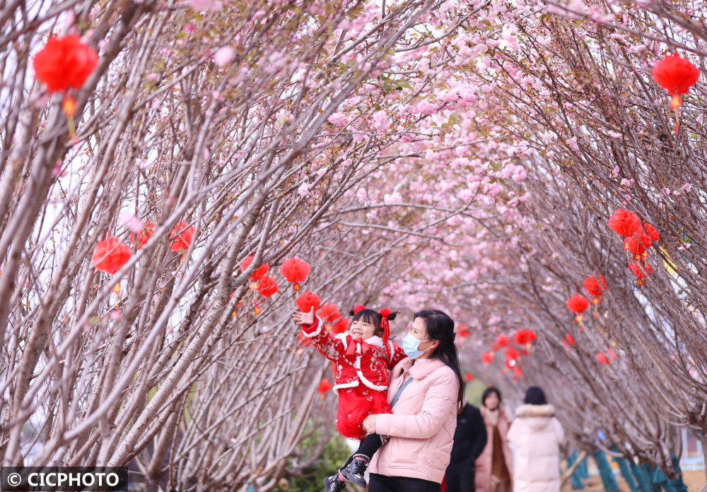 春节假日|湖南道县：乐享春节假日