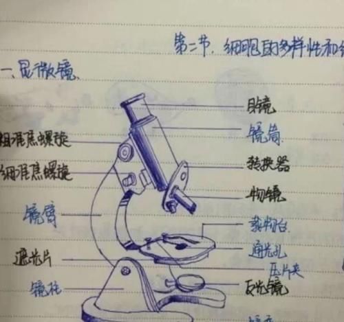 朋友|朋友圈里的大学生活VS现实中大学生活，网友：太形象，已笑喷