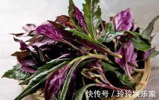 气血|经期是保养子宫的黄金期,多吃此菜,补充气血,祛湿气,温暖子宫