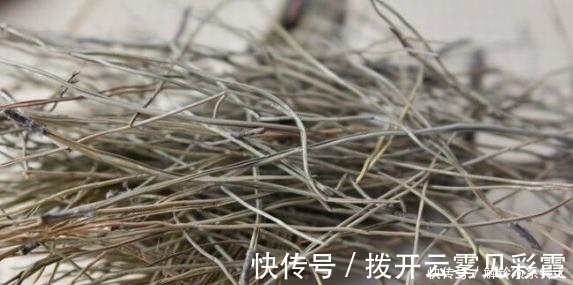 干松针|搜集的干松针,养花该怎么处理,如何用?