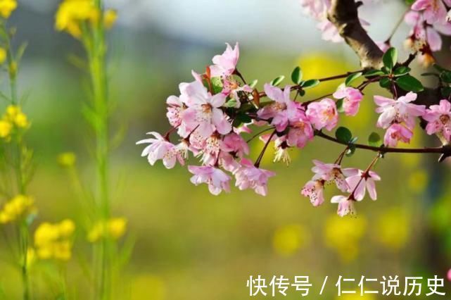 美好的时光!教人知道已春深,十首春深的诗词,去珍惜春天的每一寸时光!