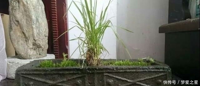 爷爷动手掏了几个汉砖盆,古朴高雅,种上盆栽,朋友出多少都不卖