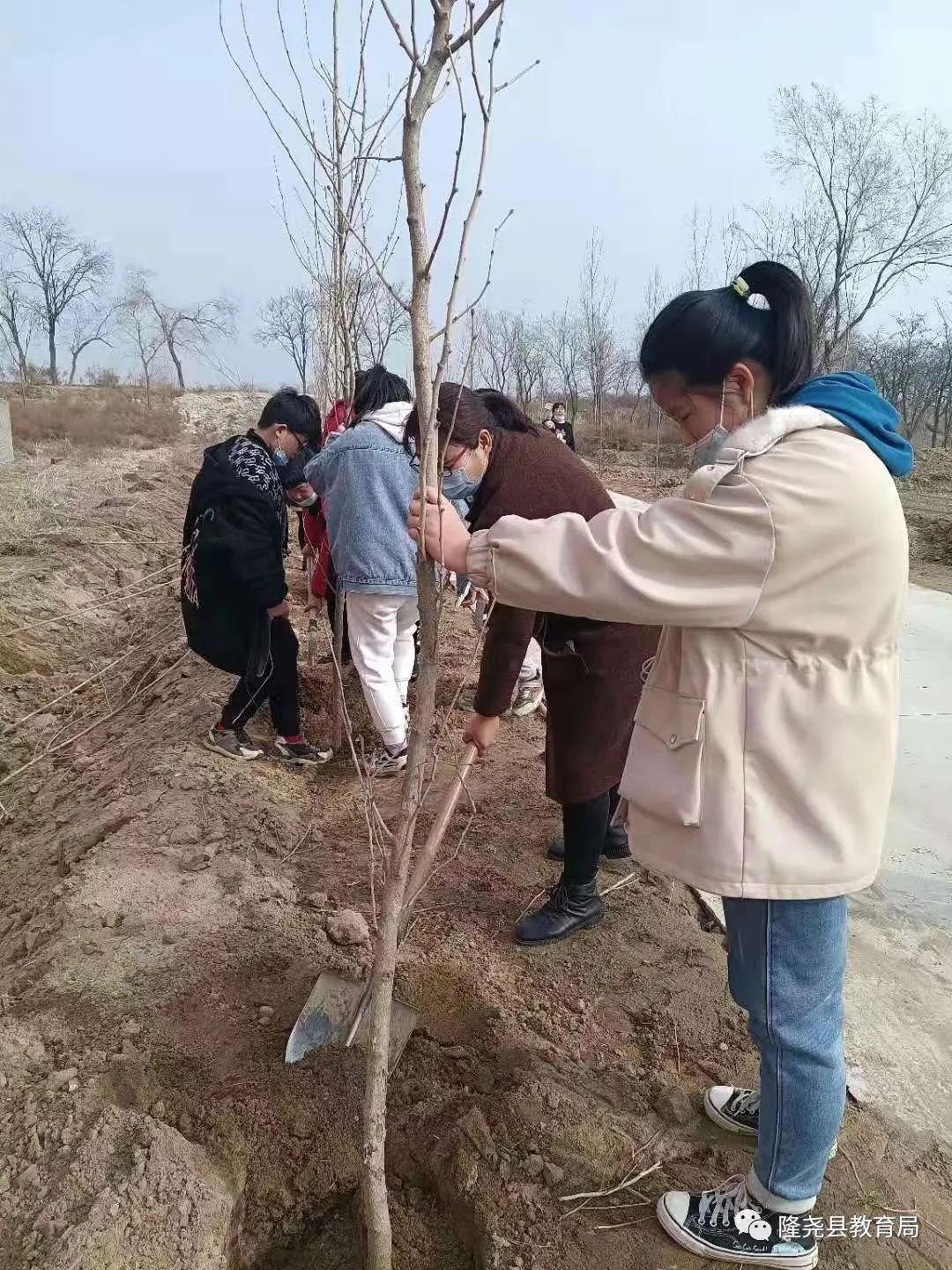 隆尧中小学生：“争做植绿护绿小使者，我们在行动”