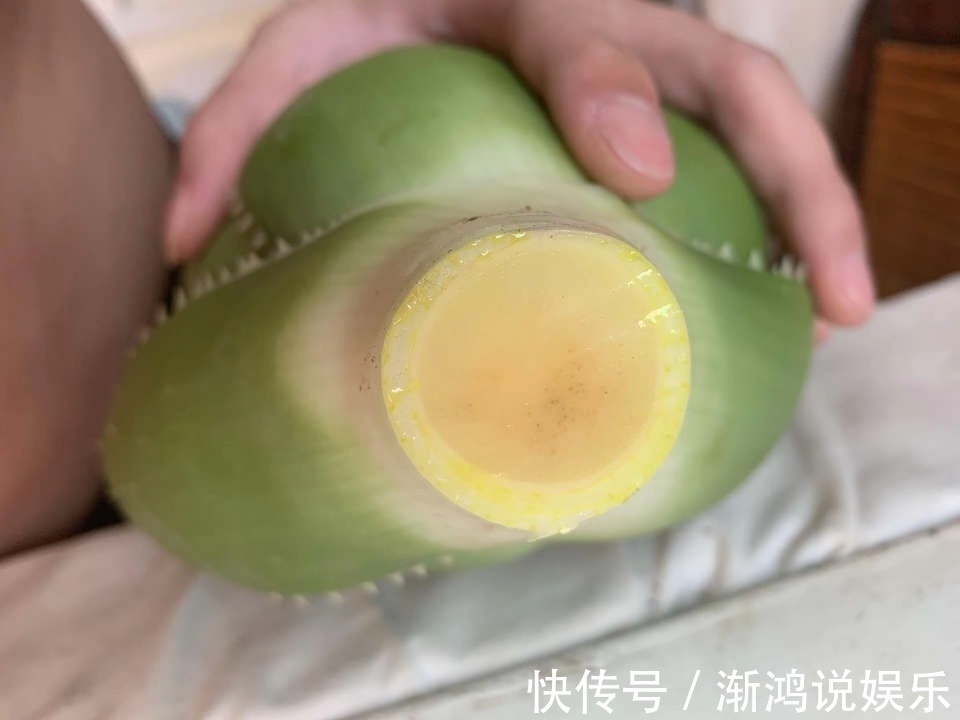 秋天|秋天来了,养芦荟做个“小手术”,从头再来!小苗“塞满”花盆