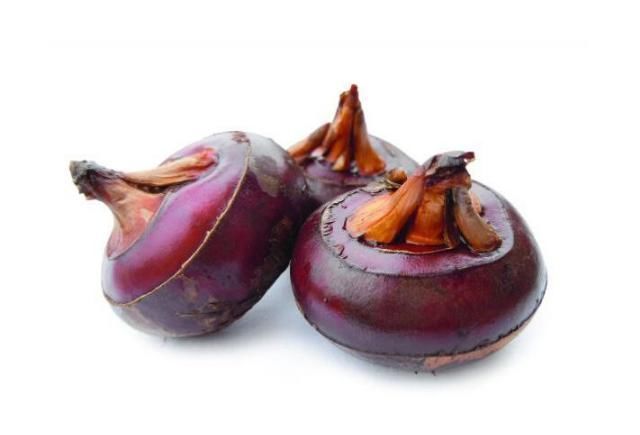 冰袋|发烧成了2岁小男孩的“催命符”，3个退烧小常识，很有必要了解